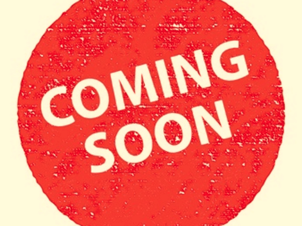 Dust plate rear 66-78 FIAT 124 Spider